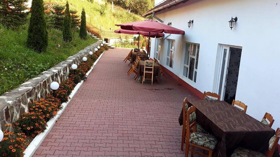 Pensiunea Tinelu Brasov Sacele Ngoại thất bức ảnh